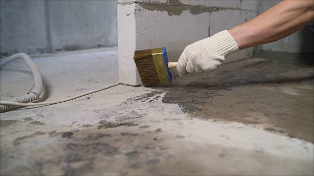 24/7 Emergency Wet Basement Repair experts in Ogdensburg, WI